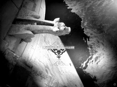 Chenoceaux Wasserspeier