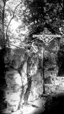 Klosterruine Disibodenberg